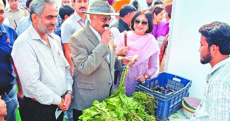 organic vegetables mandi at sector 26 chandigarh