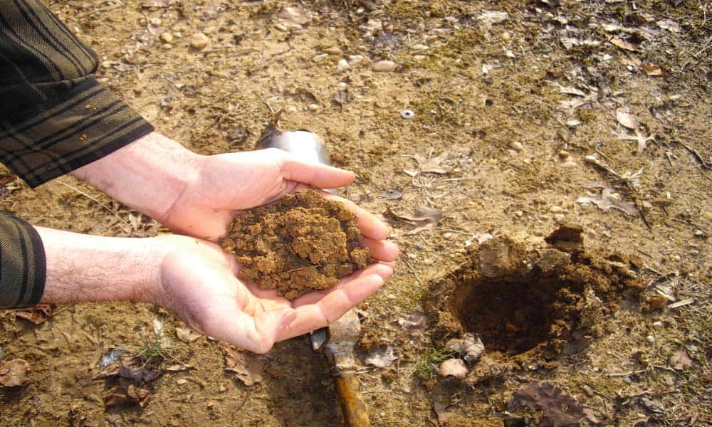 vastu tips of factory for growth and profit