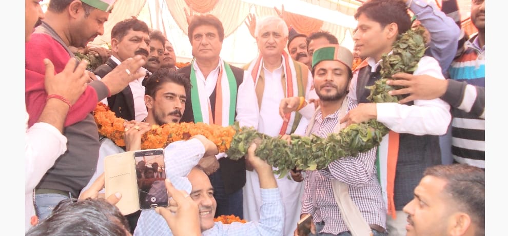 himachal assembly election2017 bollywood actor raj babbar rally at hamirpur