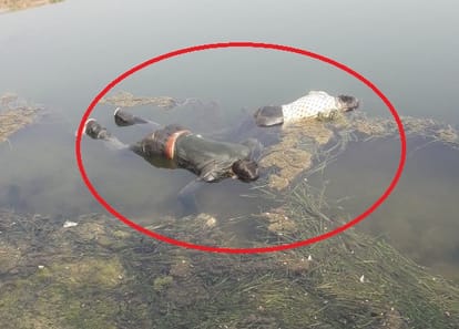 Lovers couple comitted suicide in jodhpur