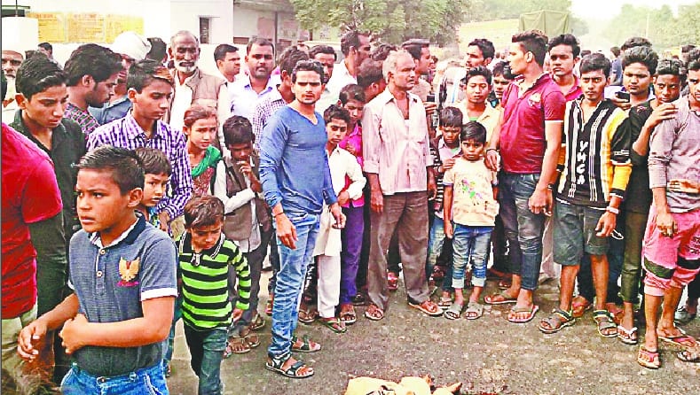 Child's death by crushing scorpions