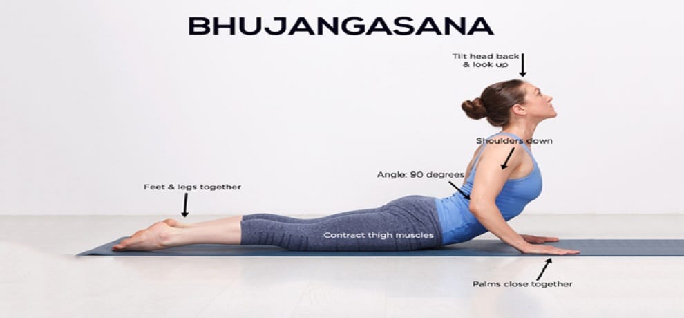 Bhujangasana benefits in hindi Know How To Do Cobra Pose Step By Step In hindi