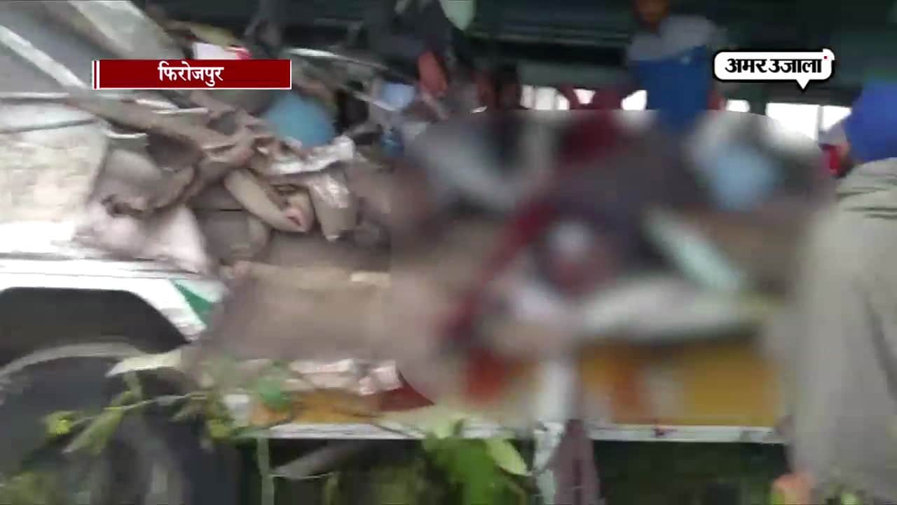 फिरोजपुर 