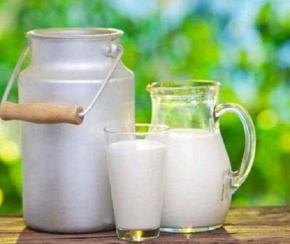 Do you know why tatra milk is best among all type of milk 