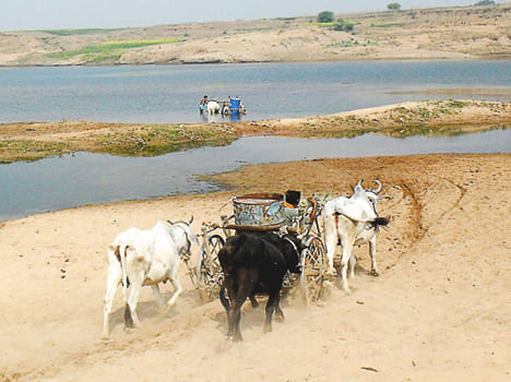 Drinking water schemes in Bundelkhand: 'Do not eat in the house, Amma chali rood'
