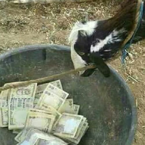 Demonitisation one year people makes fun of notebandi by these photos on social media