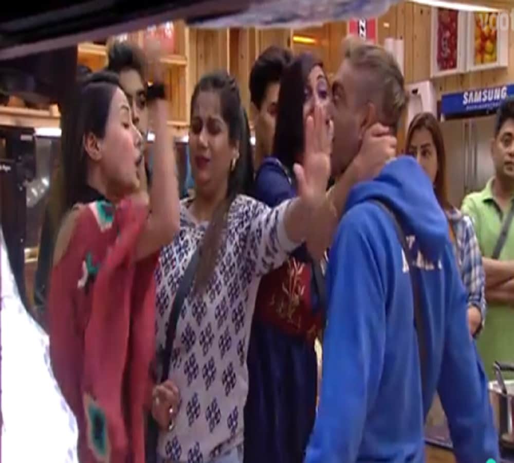 bigg boss 11 akaash calls luv and priyank dogies of hina khan 