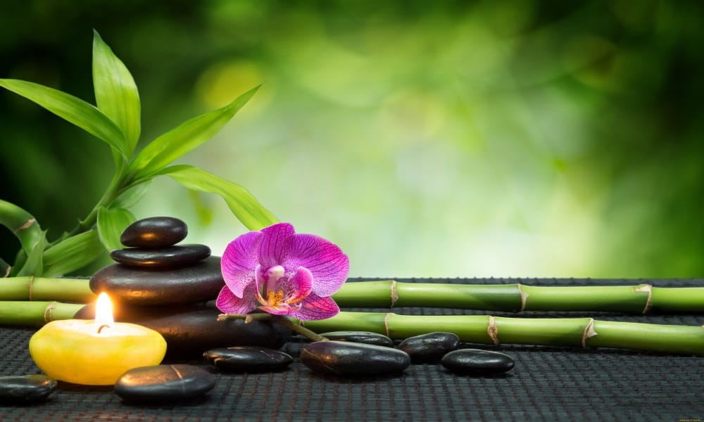 according to vastu these plants at home bring money and prosperity