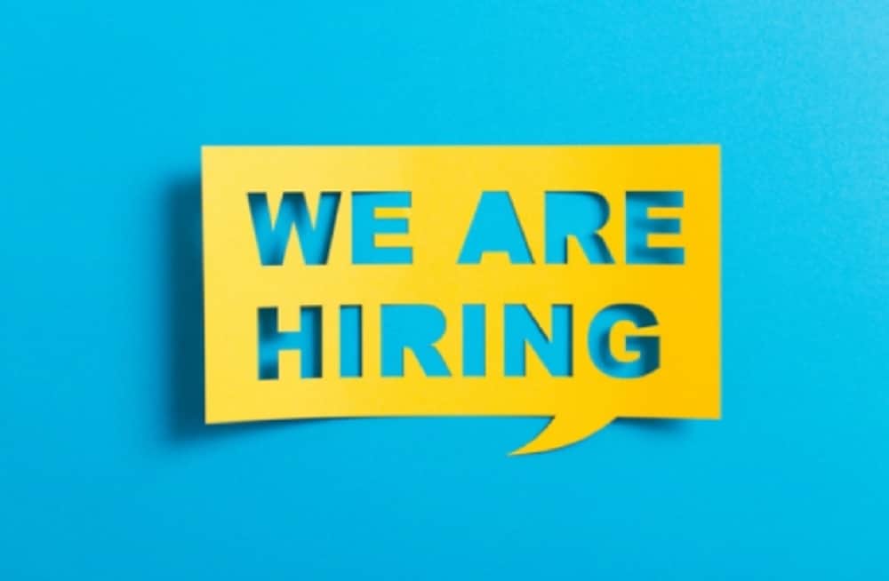 Govt Jobs Biggest Recruitment Drive 12000 vacancies twelve thousand jobs Sarkari Naukri 2021 Sarkari Bharti