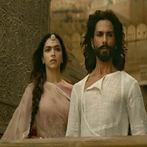 Know the Shahid Kapoor diet and fitness routine for Padmavati film