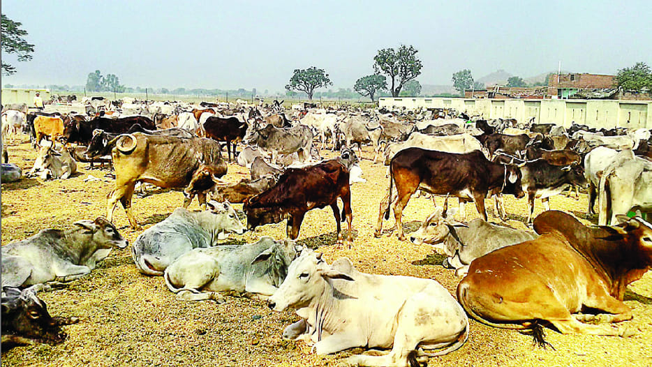 100 crore spent on this problem in bundelkhand