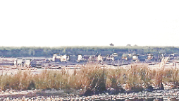 bsp mlc property matter