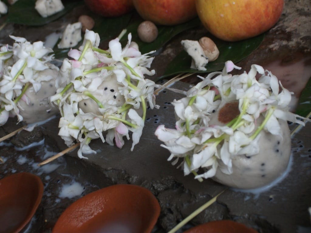 know about pitra dosh and its effects 