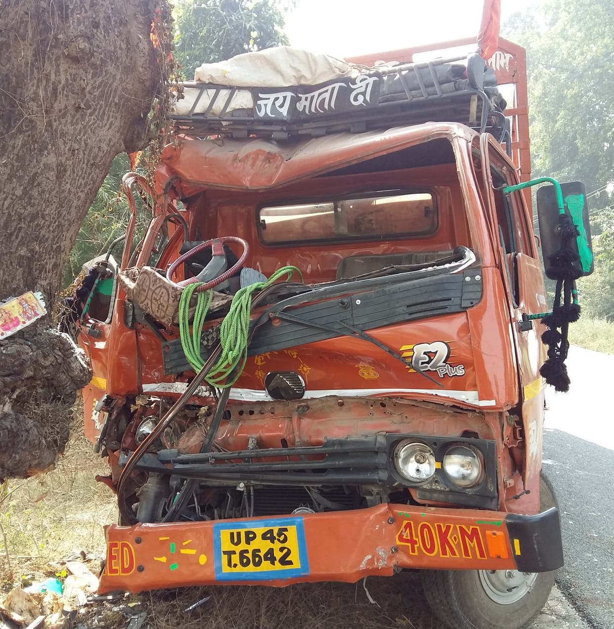 Man planted in mini truck tree collapsed, dies of driver