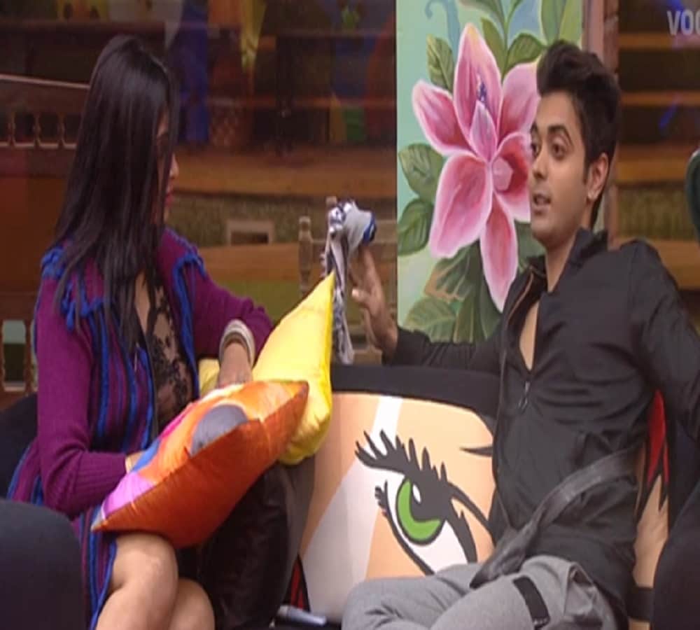     vikas said to arshi to tease luv whole night in house of bigg boss 