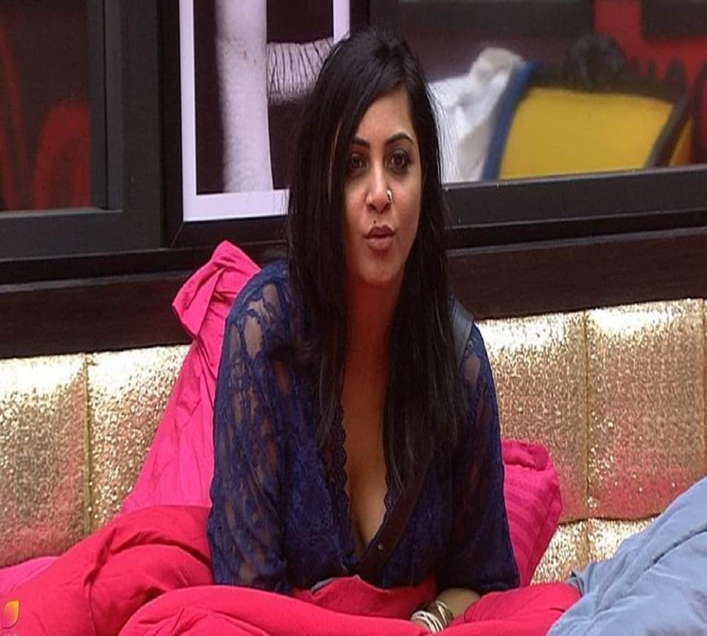 arshi khan threatened to hina indirectly for luv staring in bigg boss