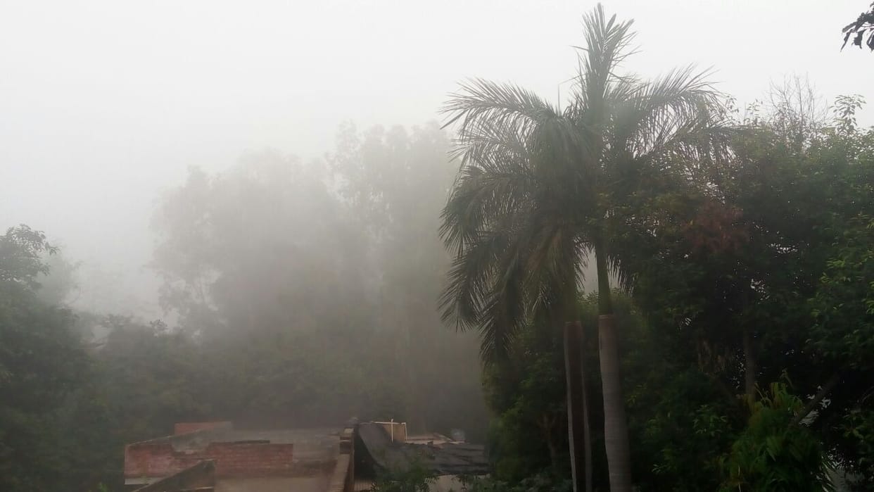 नहीं टूट रहा घनी धुंध का जाल