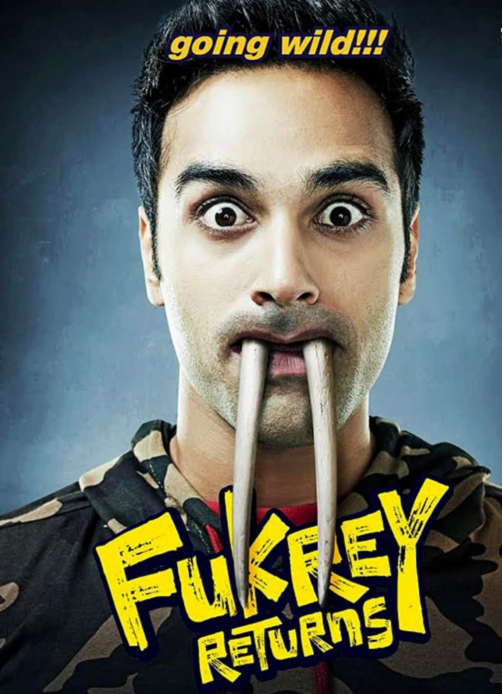 Pulkit Samrat and Richa Chadha film Fukrey Returns character posters released