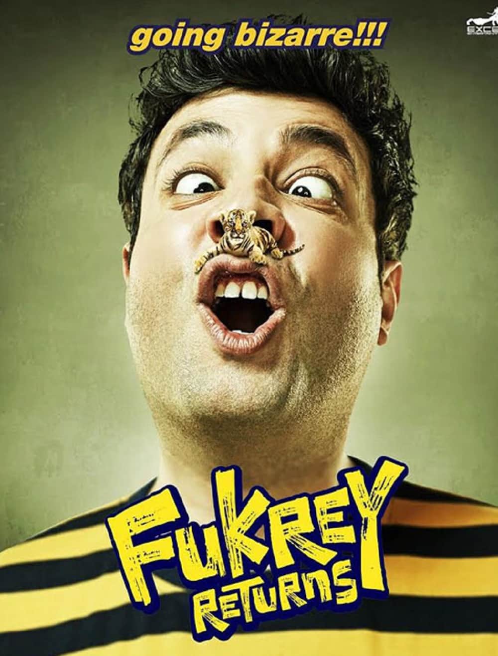 Pulkit Samrat and Richa Chadha film Fukrey Returns character posters released