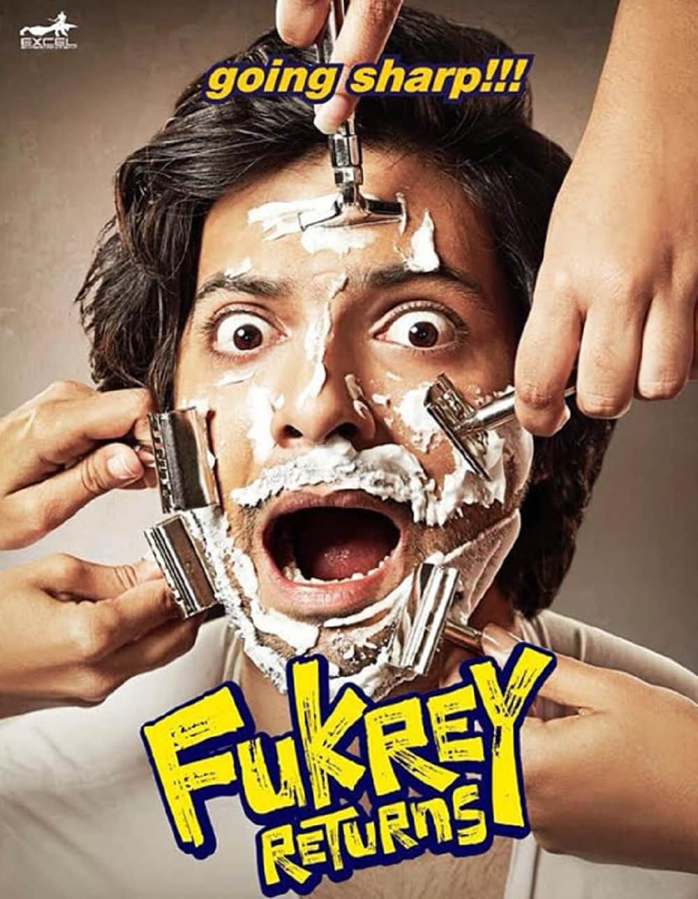 Pulkit Samrat and Richa Chadha film Fukrey Returns character posters released