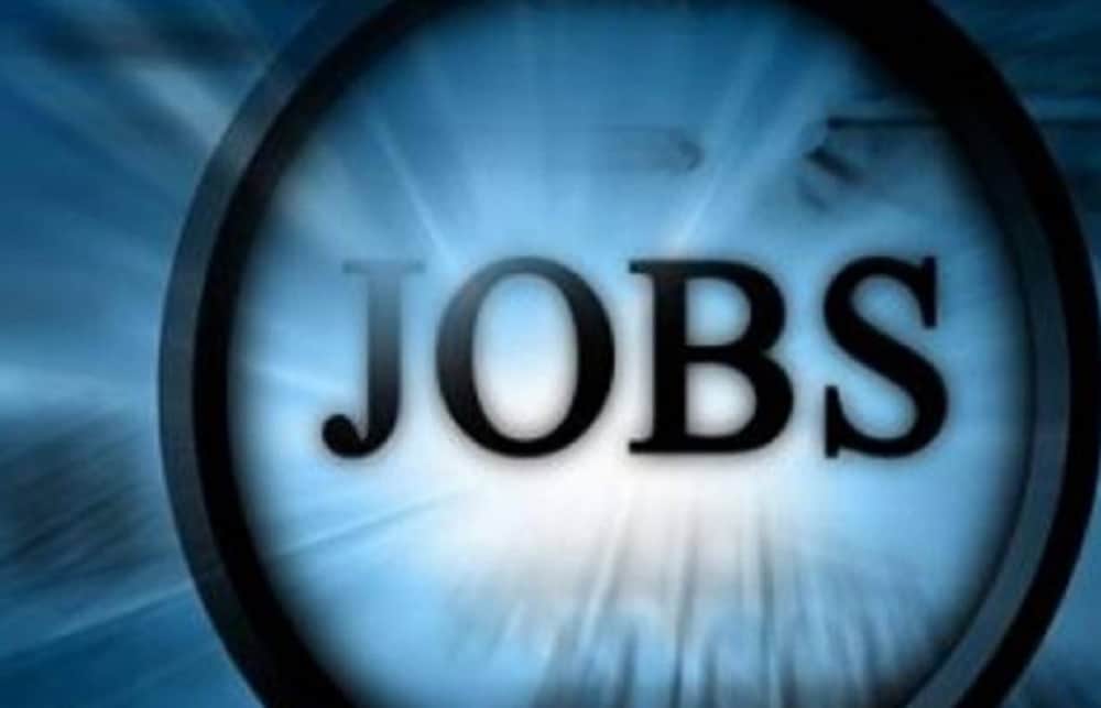 Get 39 academic posts jobs by giving direct interview, tomorrow is interview