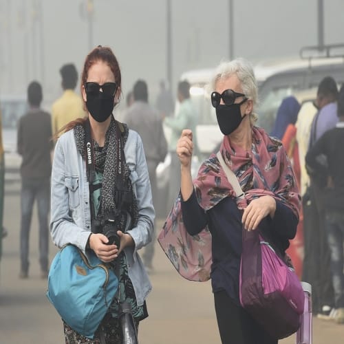 how does smog affect human body