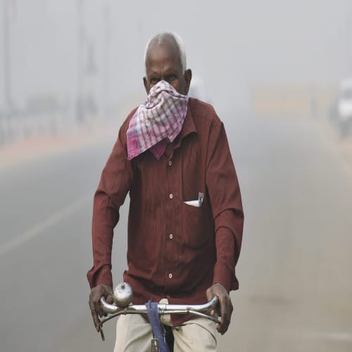 how does smog affect human body