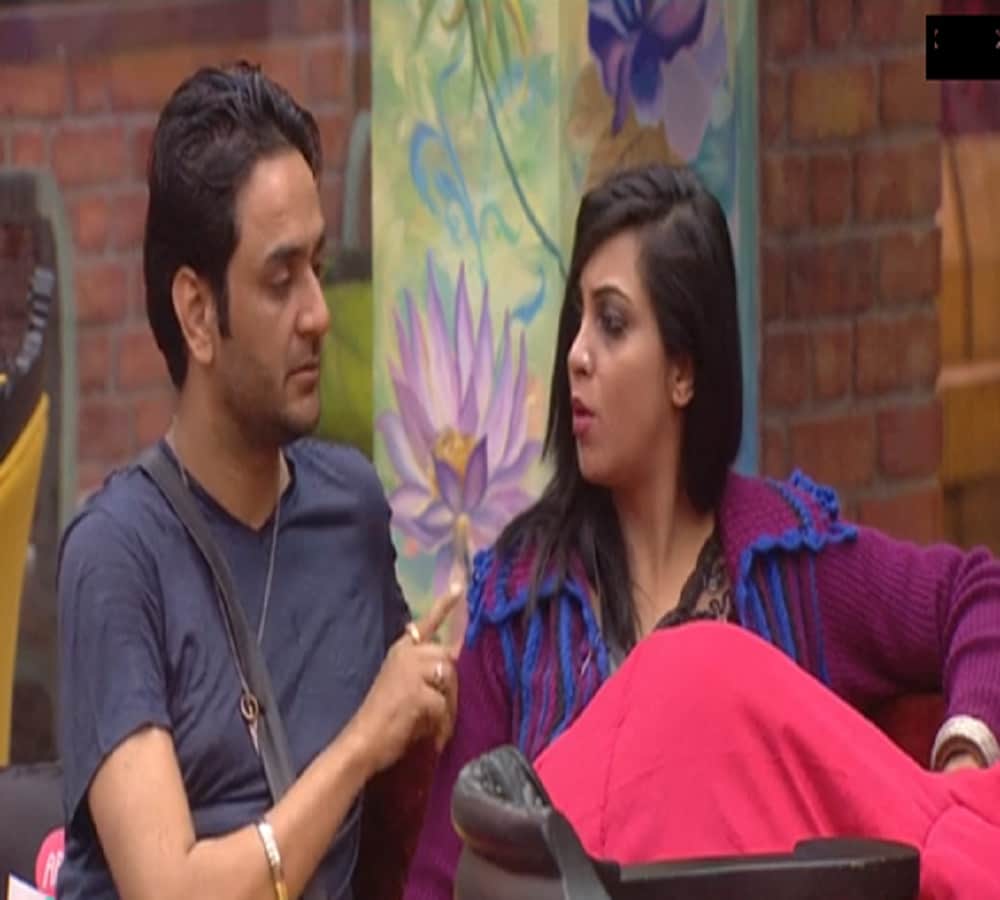     vikas said to arshi to tease luv whole night in house of bigg boss 