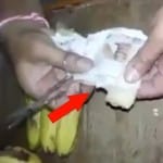 गुजरात चुनाव में वायरल वीडियो 