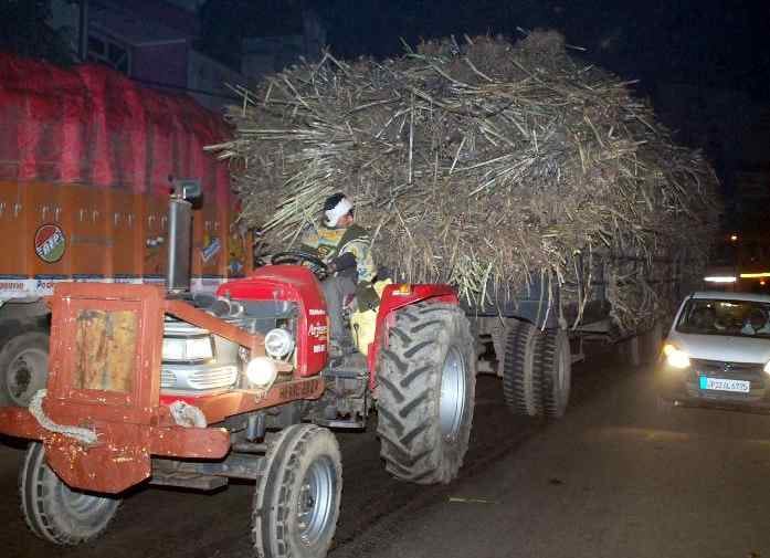 Haryana sugarcane coming in Uttar Pradesh and Uttarakhand
