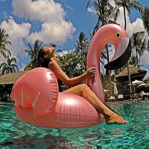 Television actress Tridha Choudhury swimsuit picture goes viral on Internet 