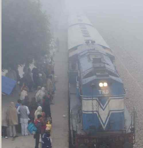 Fog affected by life