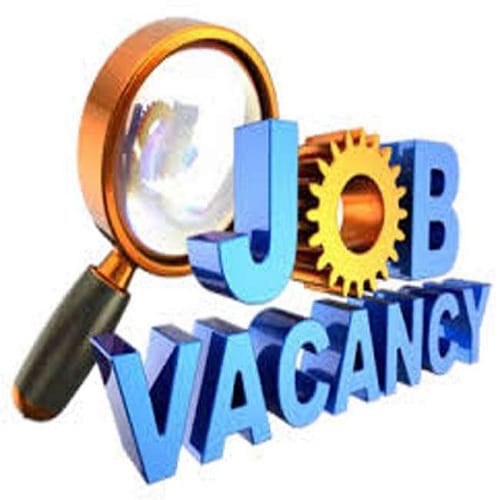 cci to hire 03 it expert posts application process ends on 07 december