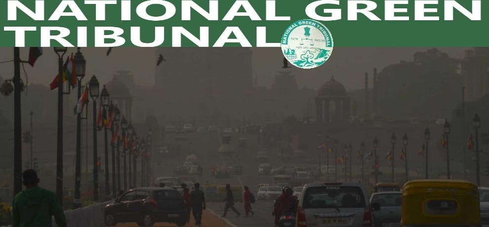 epca removed all the restrictions on parking fees, ngt to take decision