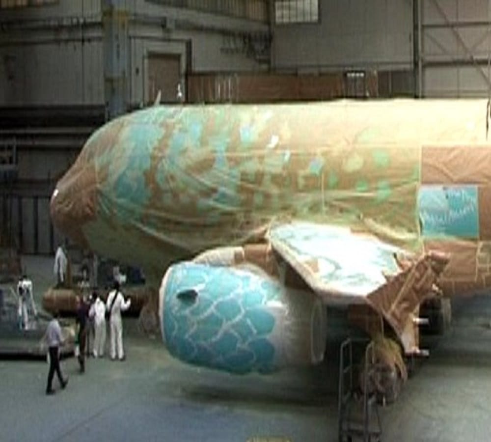 know why Most airplanes are white only 