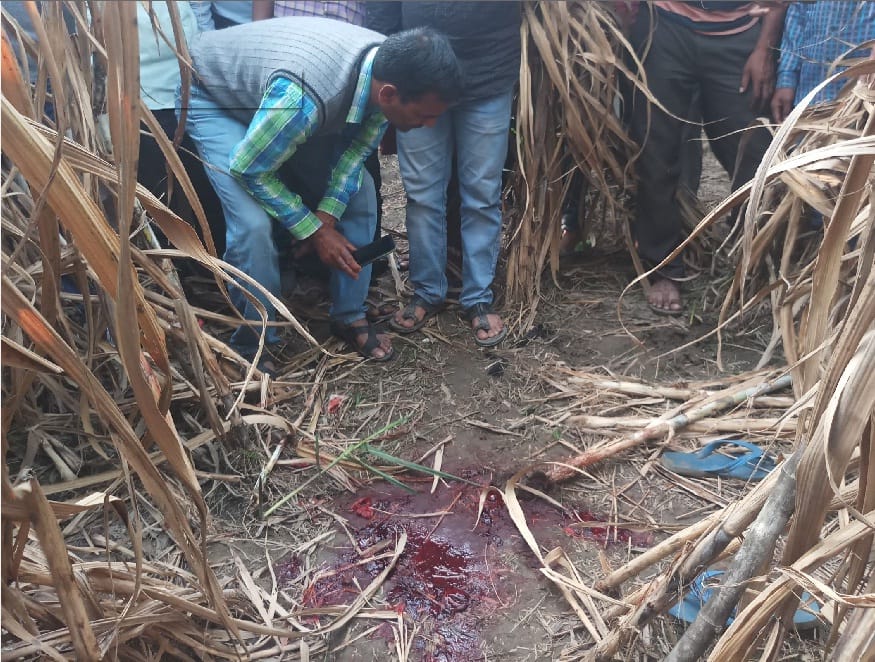 Tiger killed worker in sitarganj 