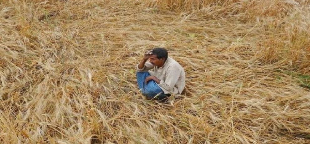 Pakistan leaves water near Border crops poor