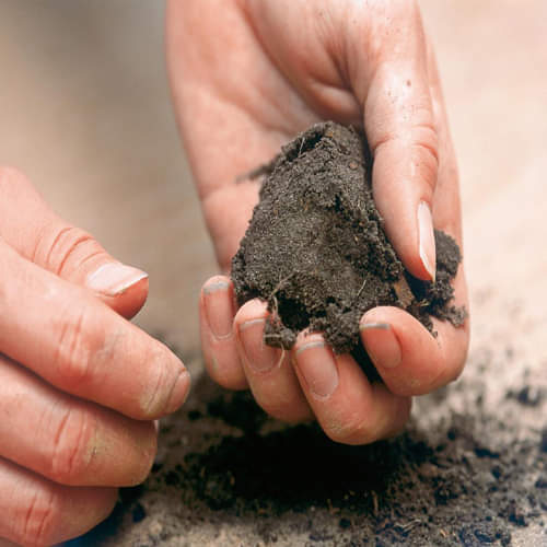  gayatri mantra attract maa lakshmi for wealth and success