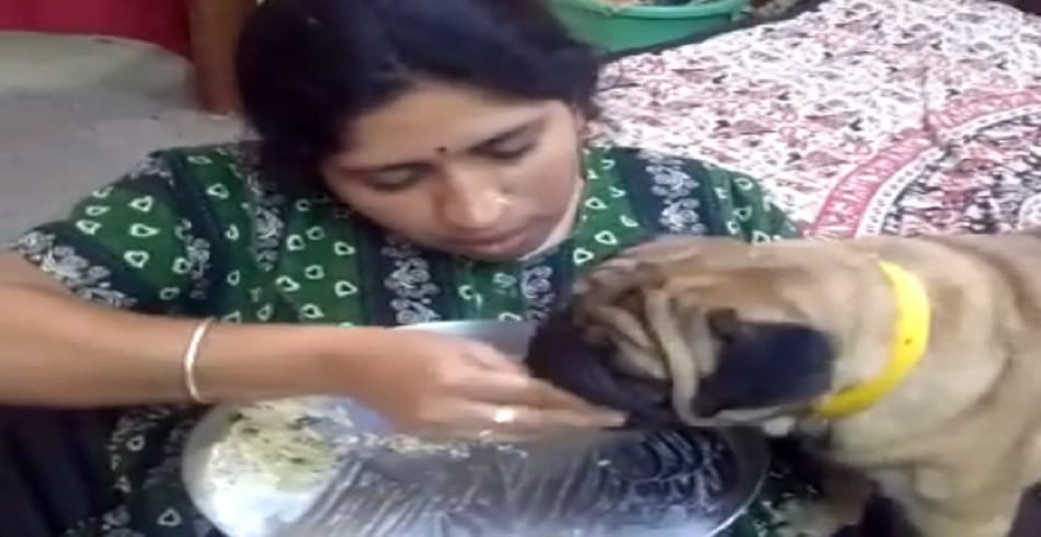 This women having food with dog in one plate video viral on Internet 