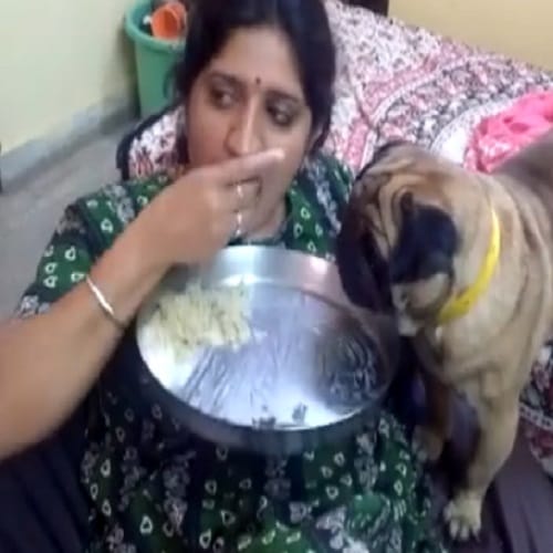 This women having food with dog in one plate video viral on Internet 