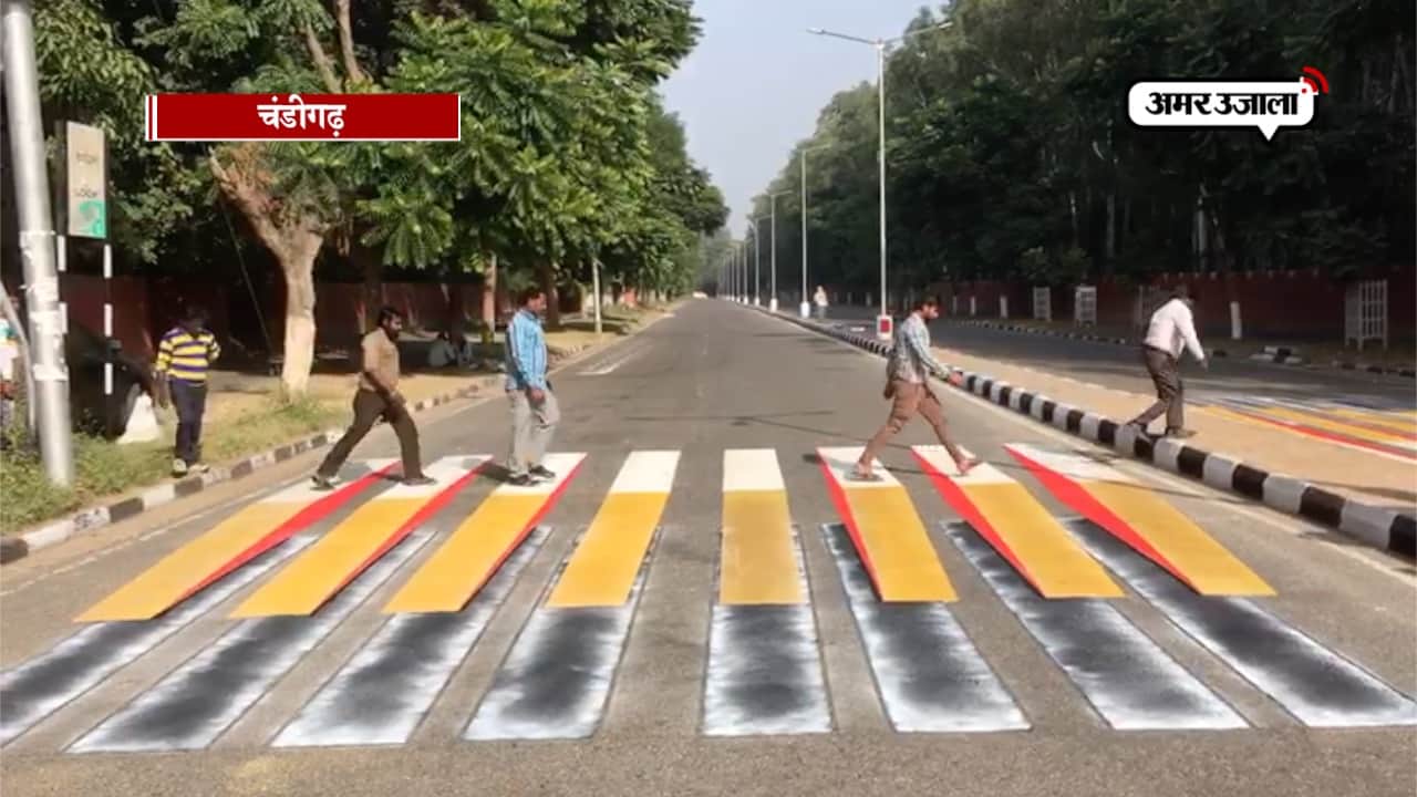 3डी जेबरा क्रासिंग