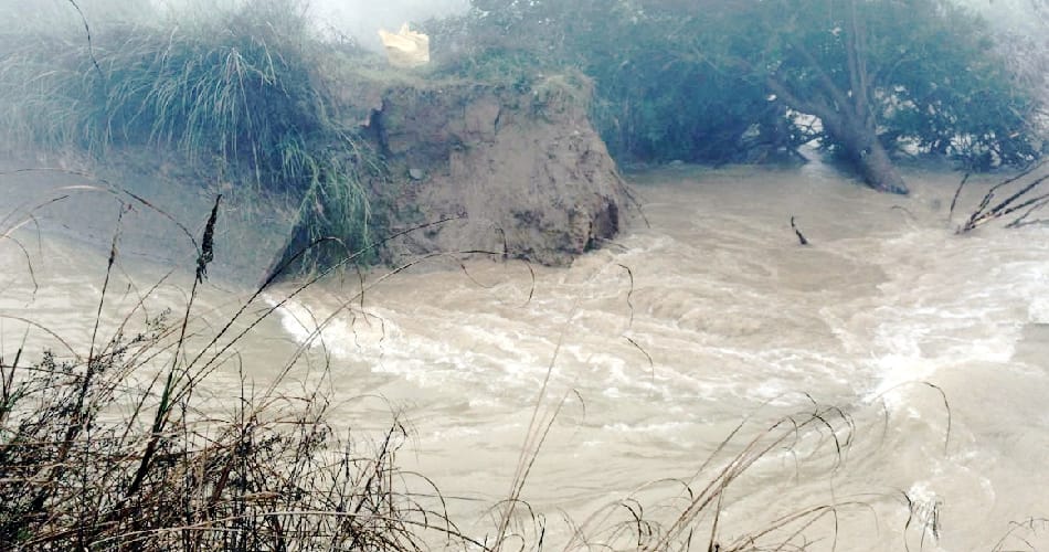 Hundred acres of crop destroyed, Abohar news