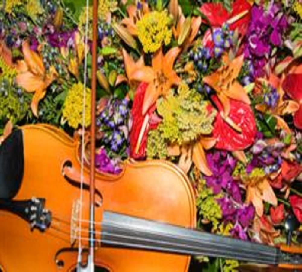 Plants grow faster by playing music