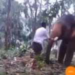 बाहुबली की तरह हाथी पर चढ़ता शख्स