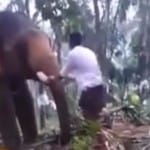 बाहुबली की तरह हाथी पर चढ़ता शख्स