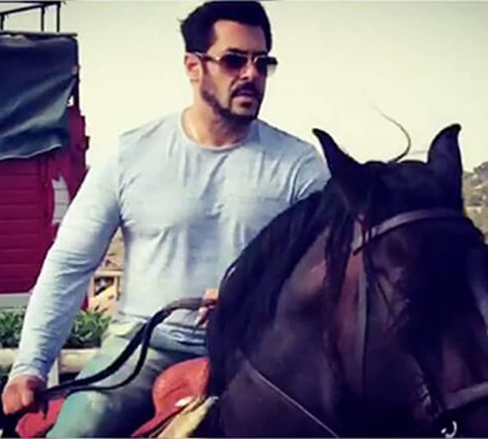 salman khanand his family accused a nri couple