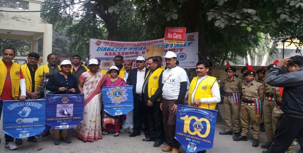 World Diabetes Day : Global Diabetes Walk for Public Awareness