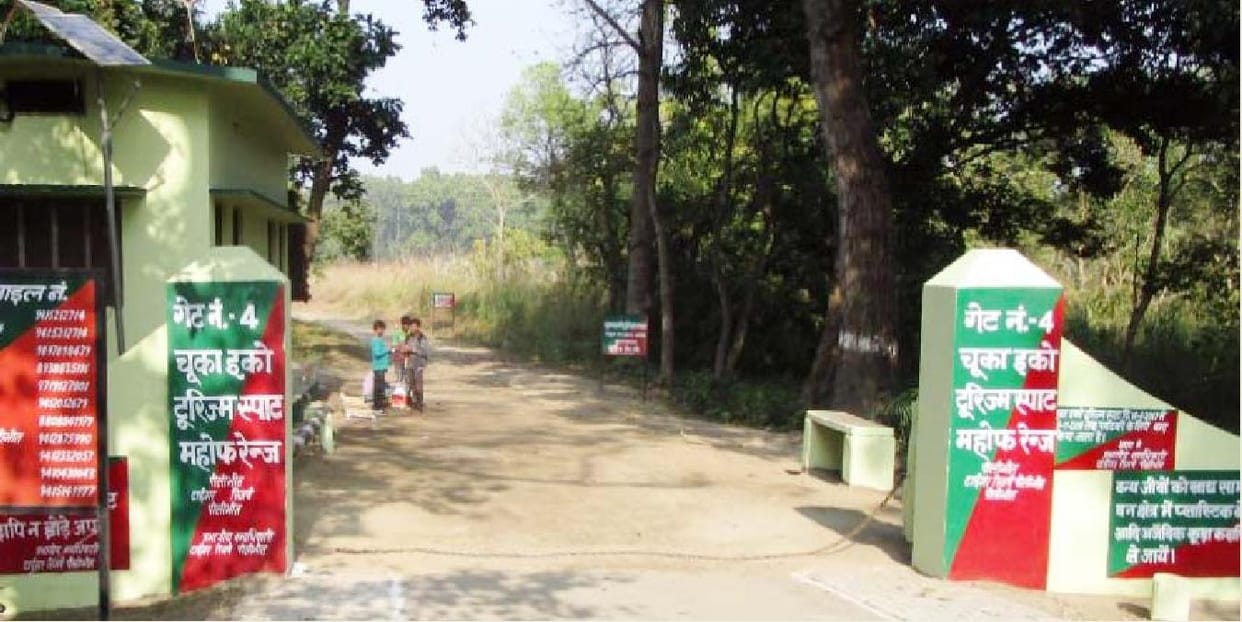 आज से खुलेगा टाइगर रिजर्व और चूका