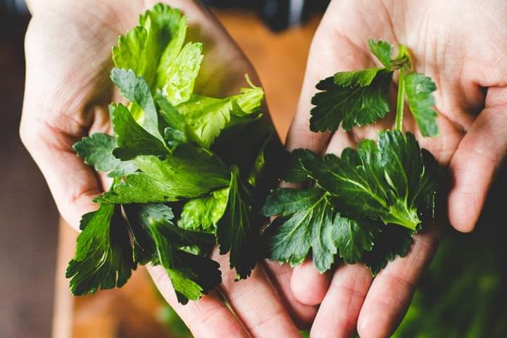 doing these things before leaving house on these 4 days