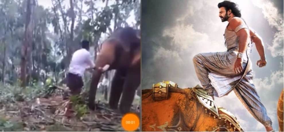 बाहुबली की तरह हाथी पर चढ़ता शख्स